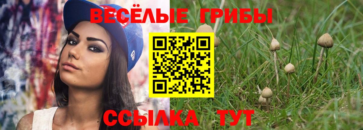 Троицк  Псилоцибиновые грибы ЛСД  Вход с VPN 